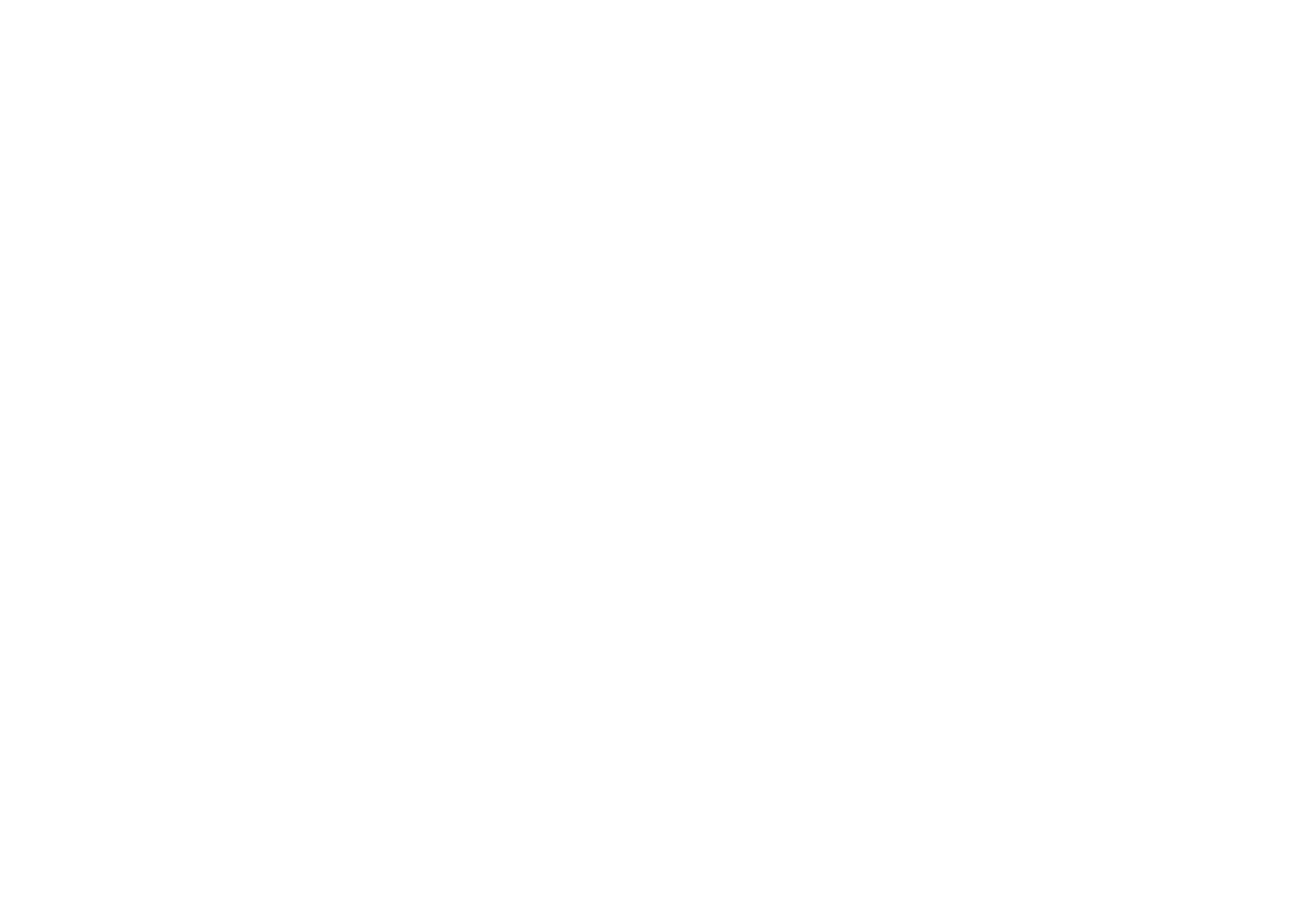 Chimney Services specialist